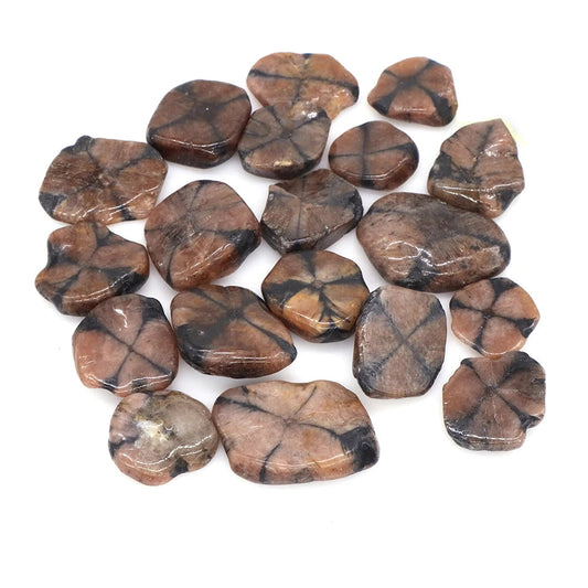 Raw 7 Chakra Healing Tumbled Crystal Stones – 50 gm